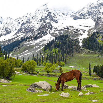 Sonmarg with Durvankur Holidays