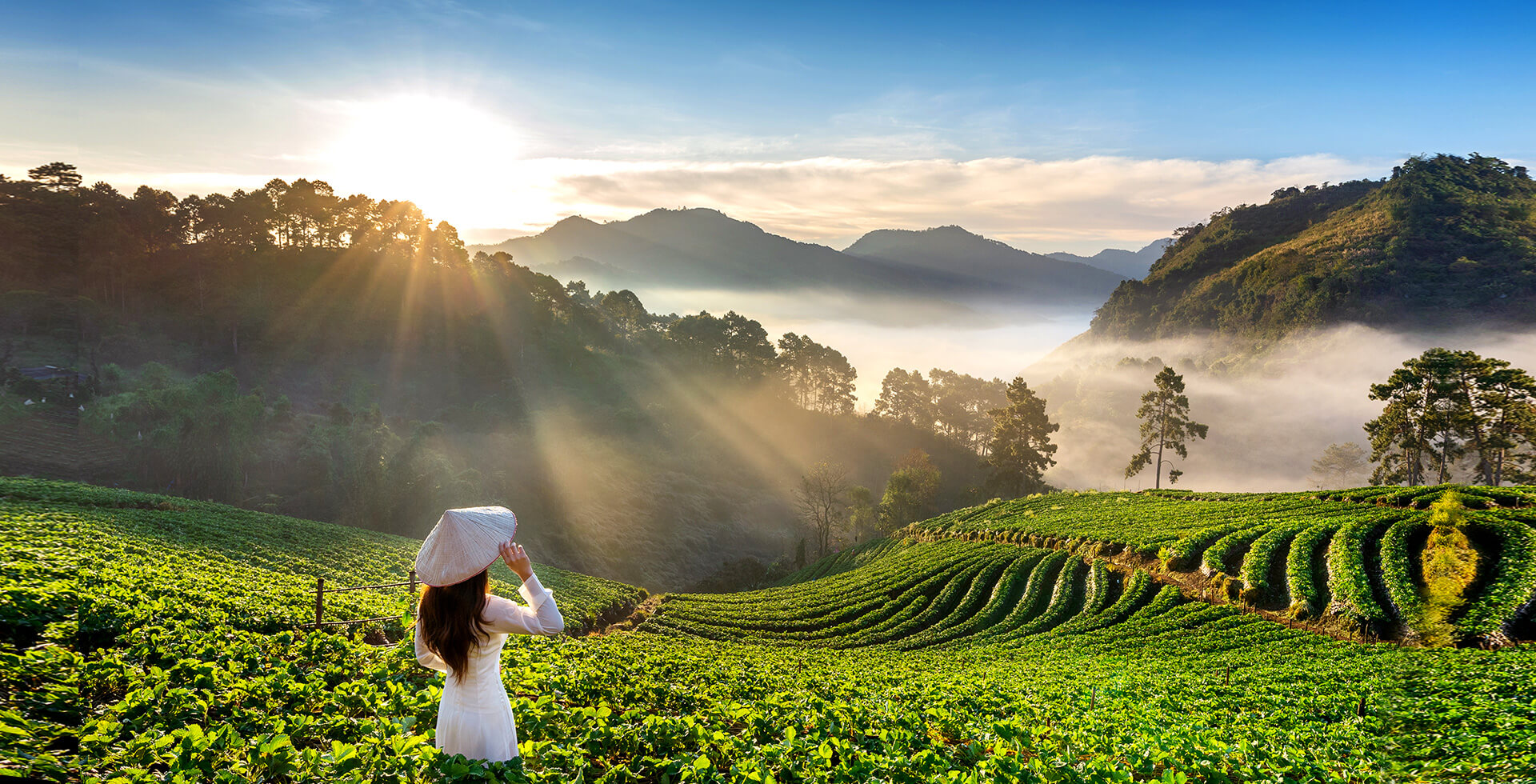 Vietnam Tour with Durvankur Holidays