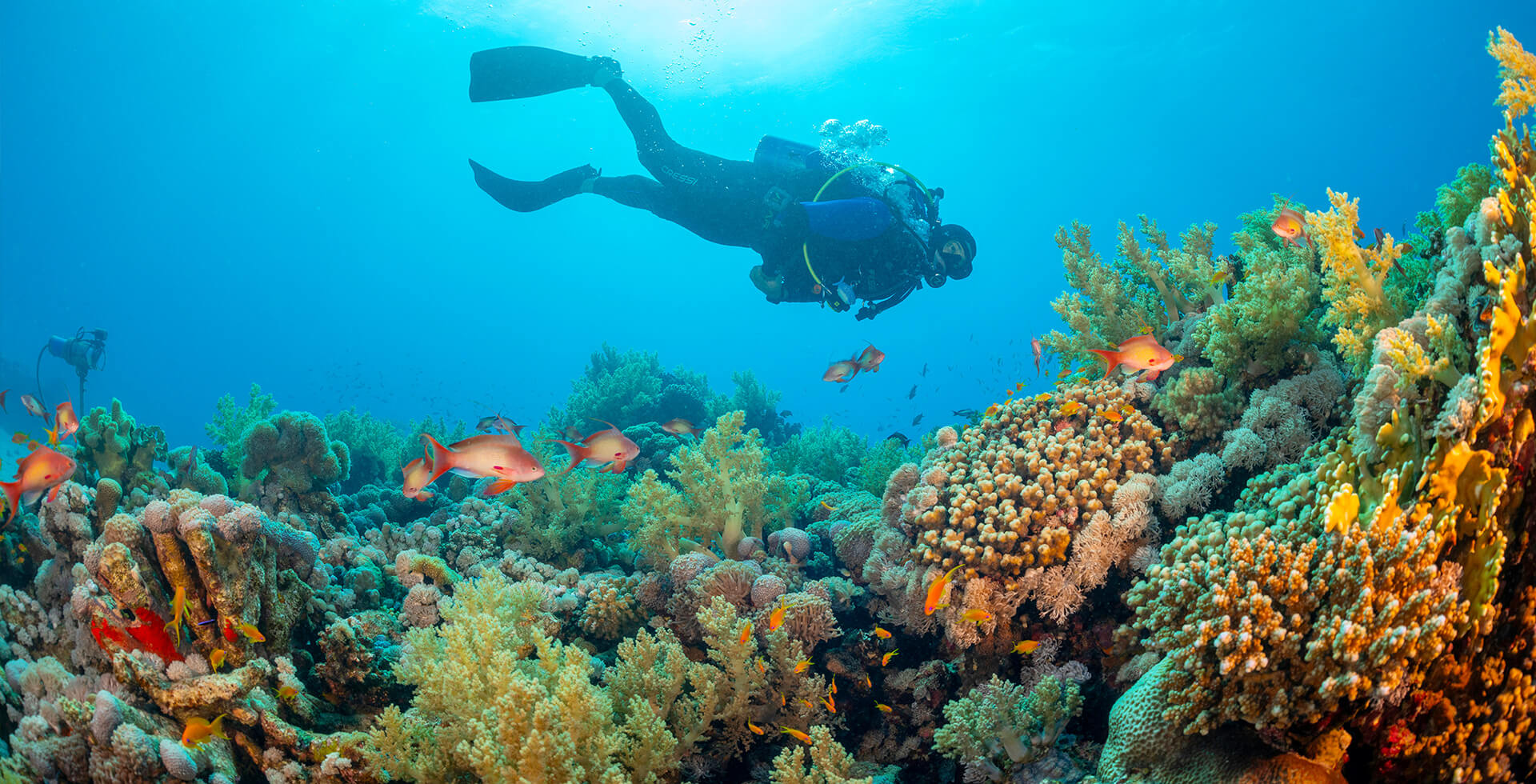 Andaman Tour with Durvankur Holidays