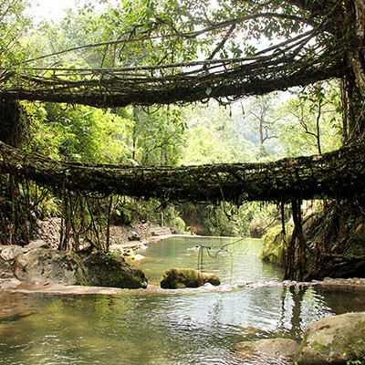 Living Root Bridges with Durvankur Holidays